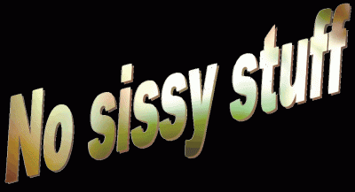 logo No Sissy Stuff